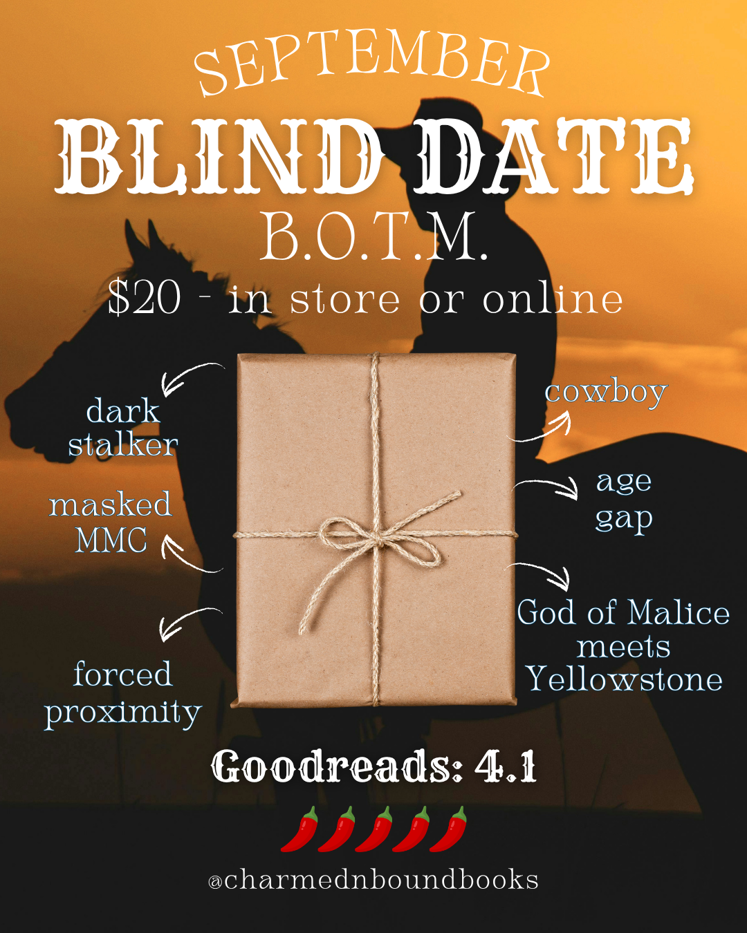 Blind Date Book of the Month