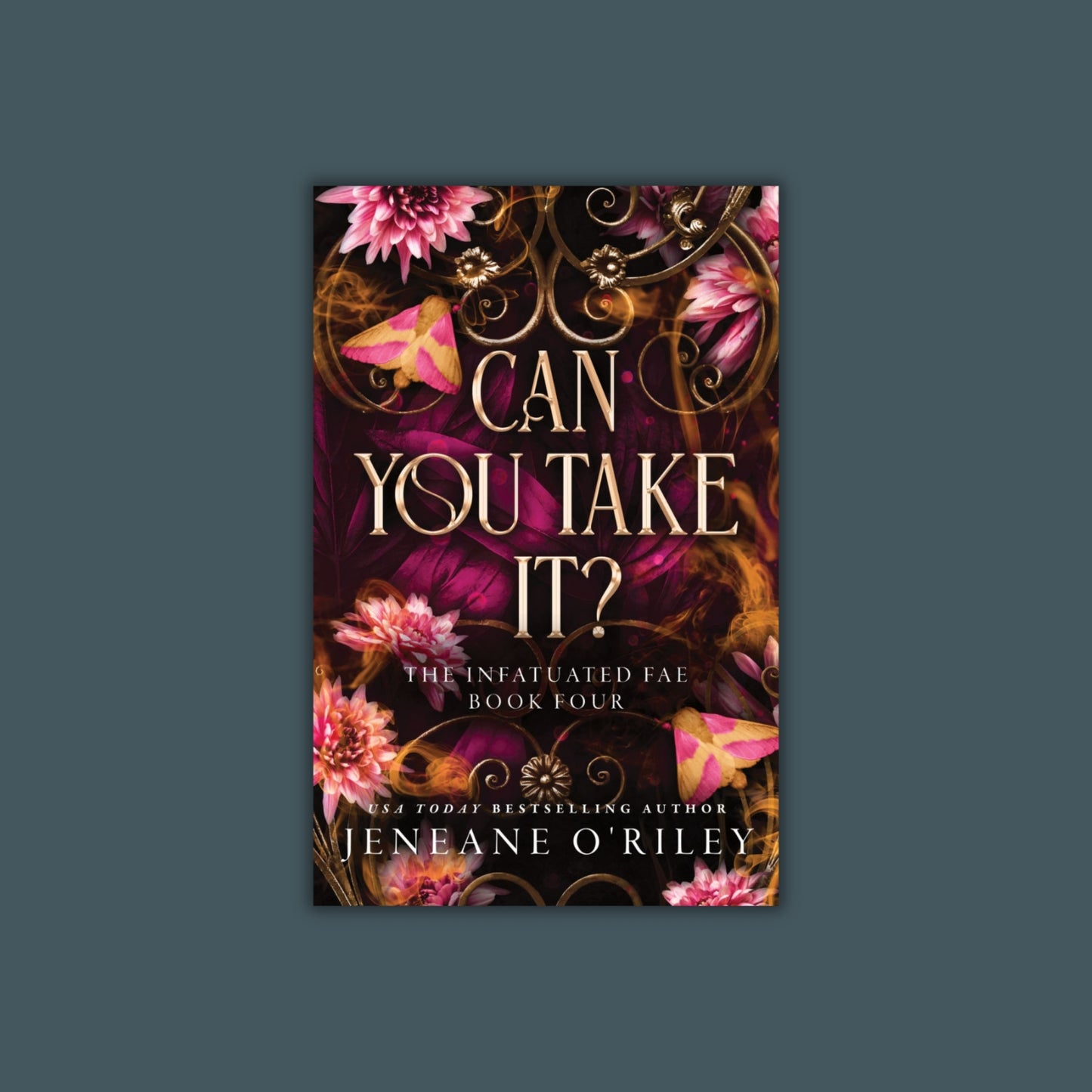 Can You Take It? (Deluxe Edition) by Jeneane O'Riley