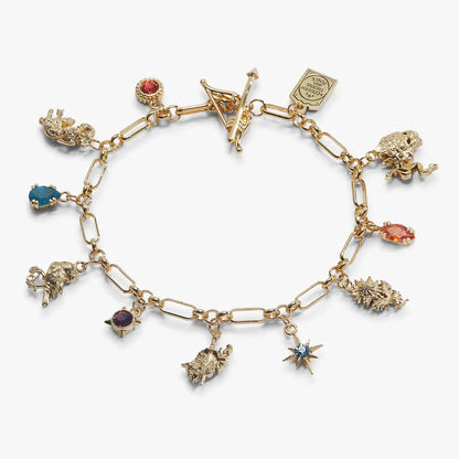 ACOTAR Book Covers Charm Toggle Bracelet