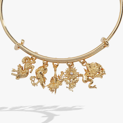 ACOTAR Book Covers Charm Bangle
