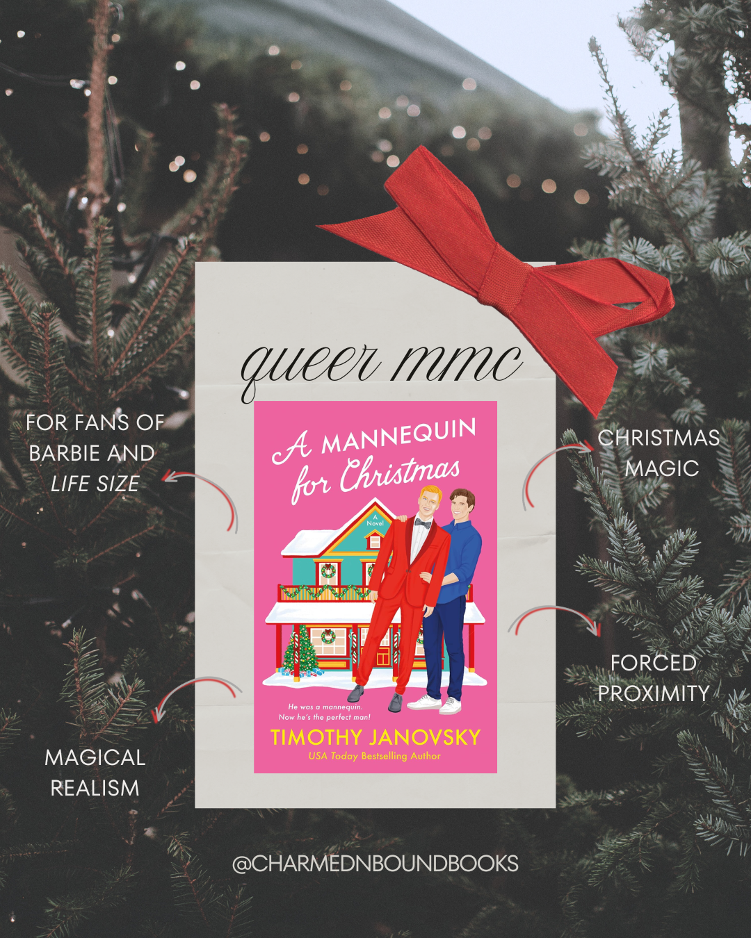 Charmed & Bound's Monthly Queer Romance Monthly Book Pick