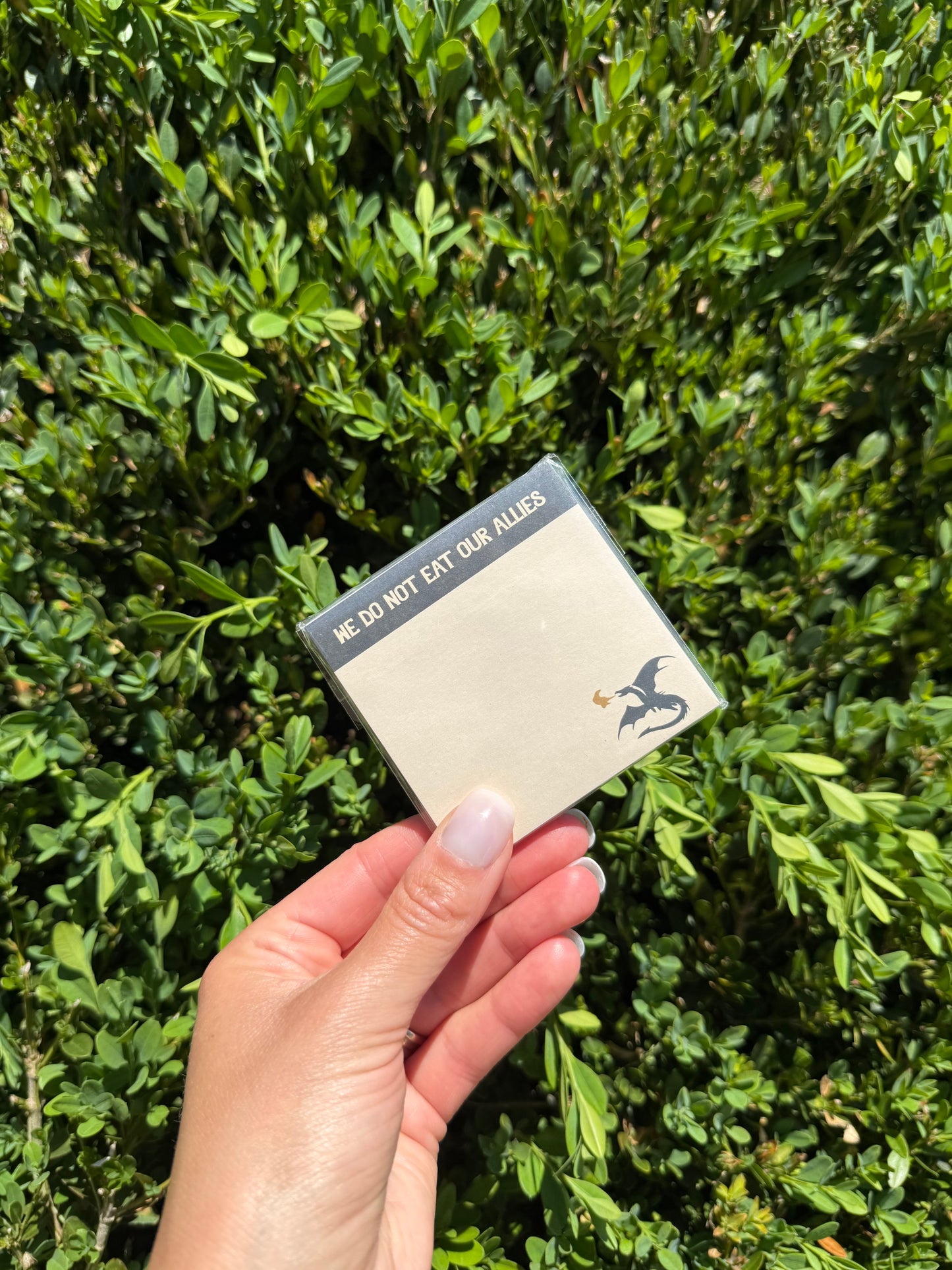 Fourth Wing Inspired Stick Note Pad