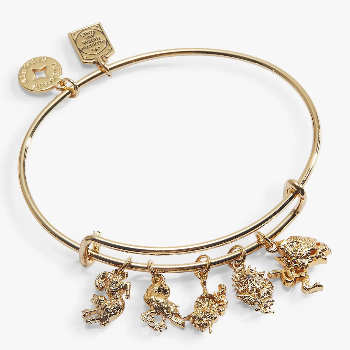 ACOTAR Book Covers Charm Bangle