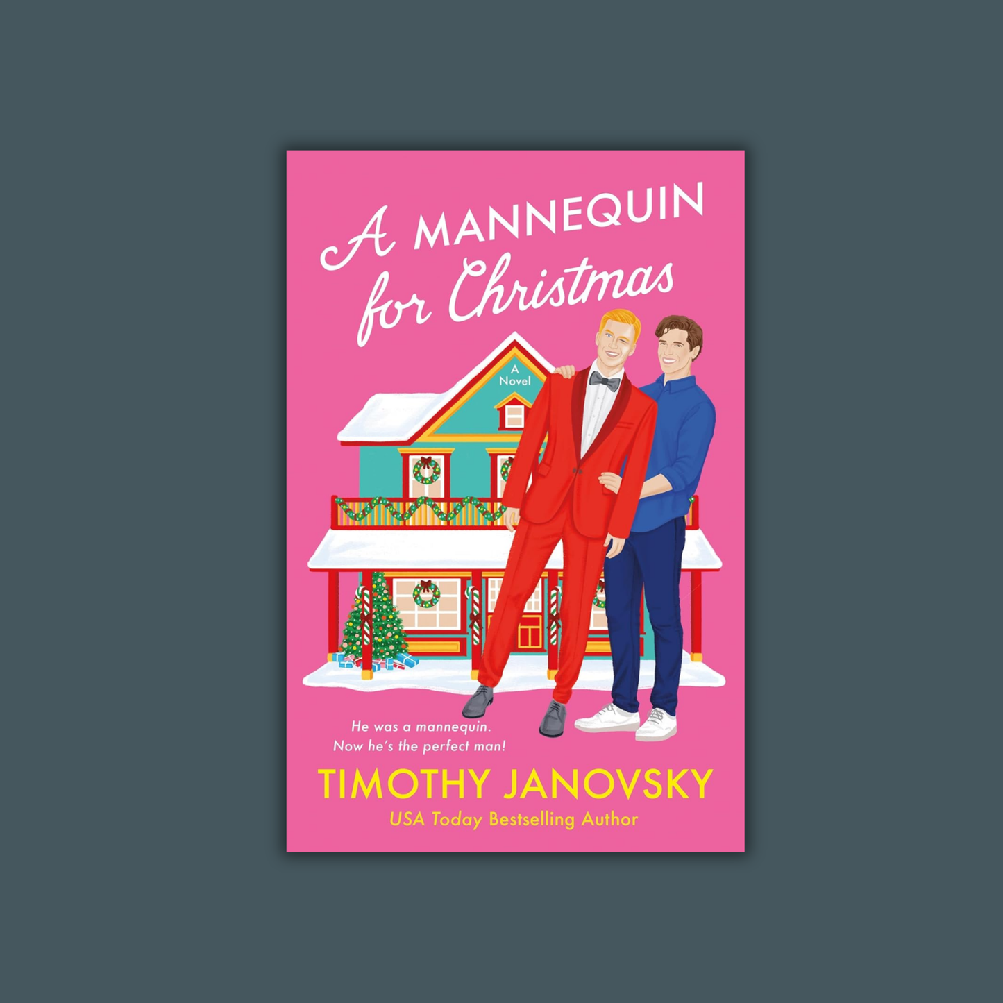 A Mannequin for Christmas by Timothy Janovsky